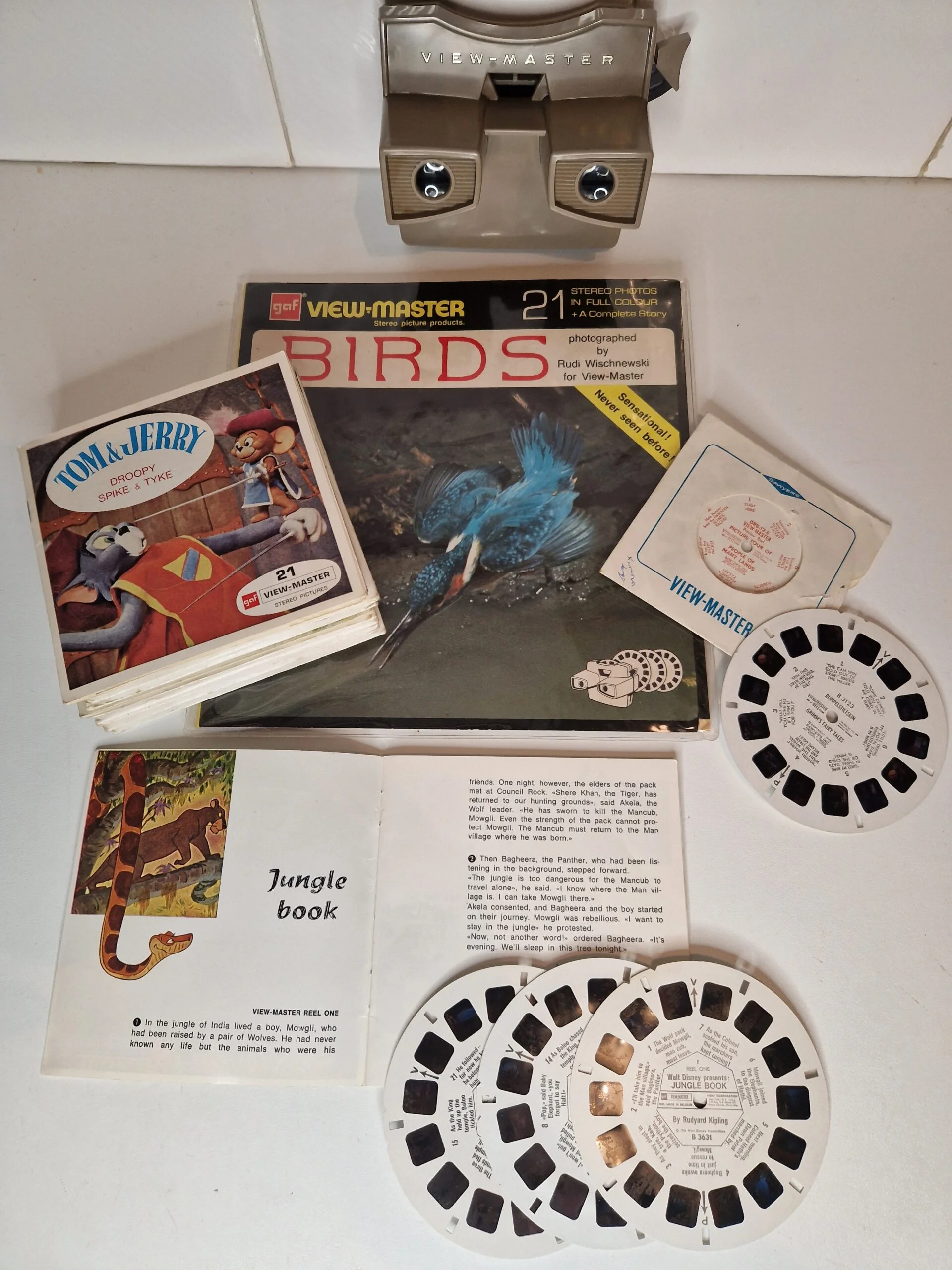 View Master with a collection of picture discs